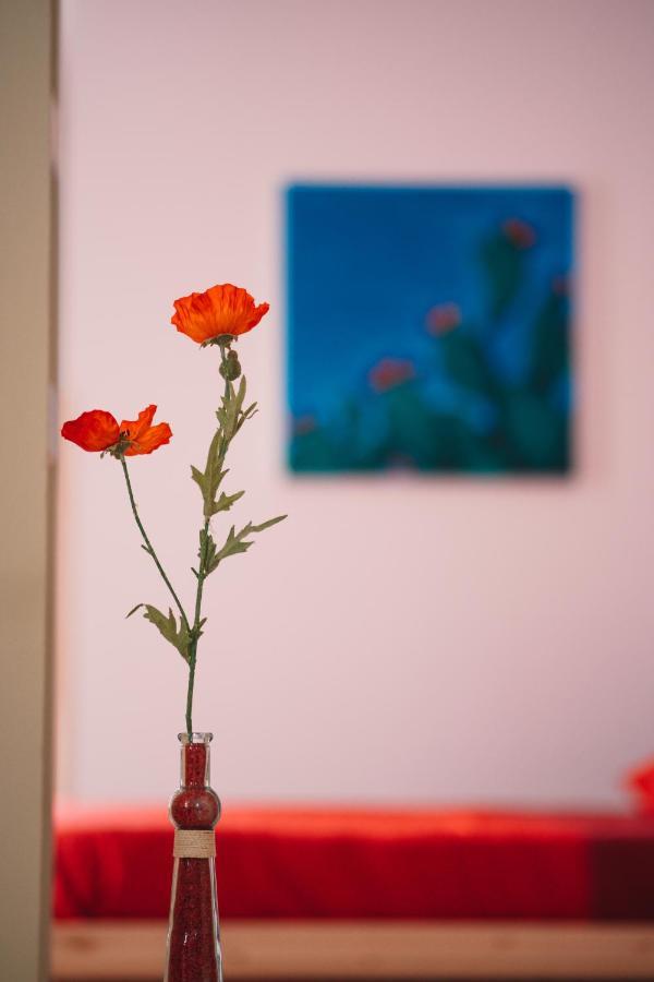 U Passiaturi Big House Apartment Catania Ngoại thất bức ảnh